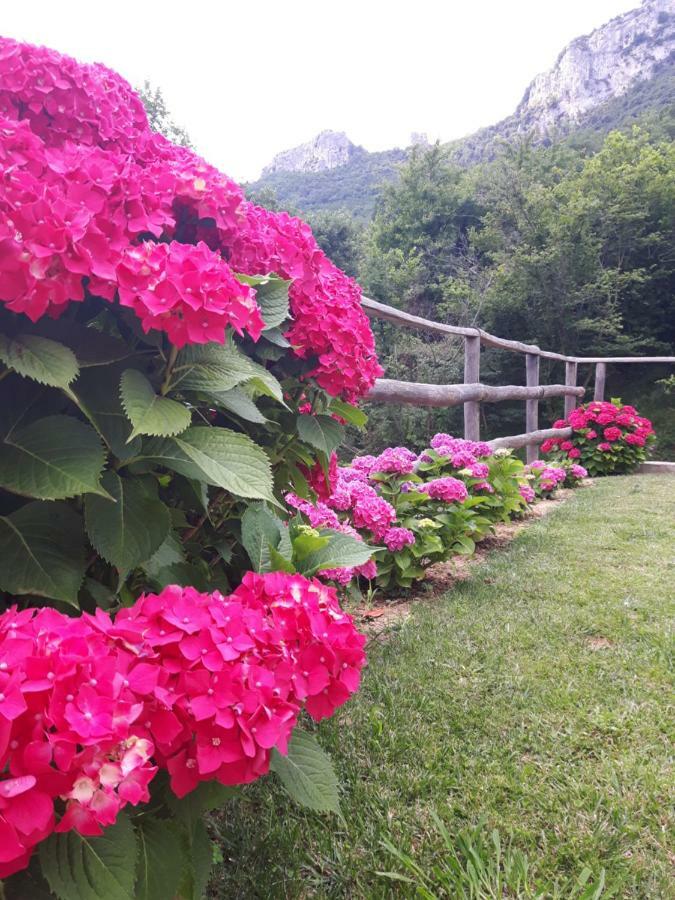 Ort Holiday'S Time Orco Feglino Buitenkant foto